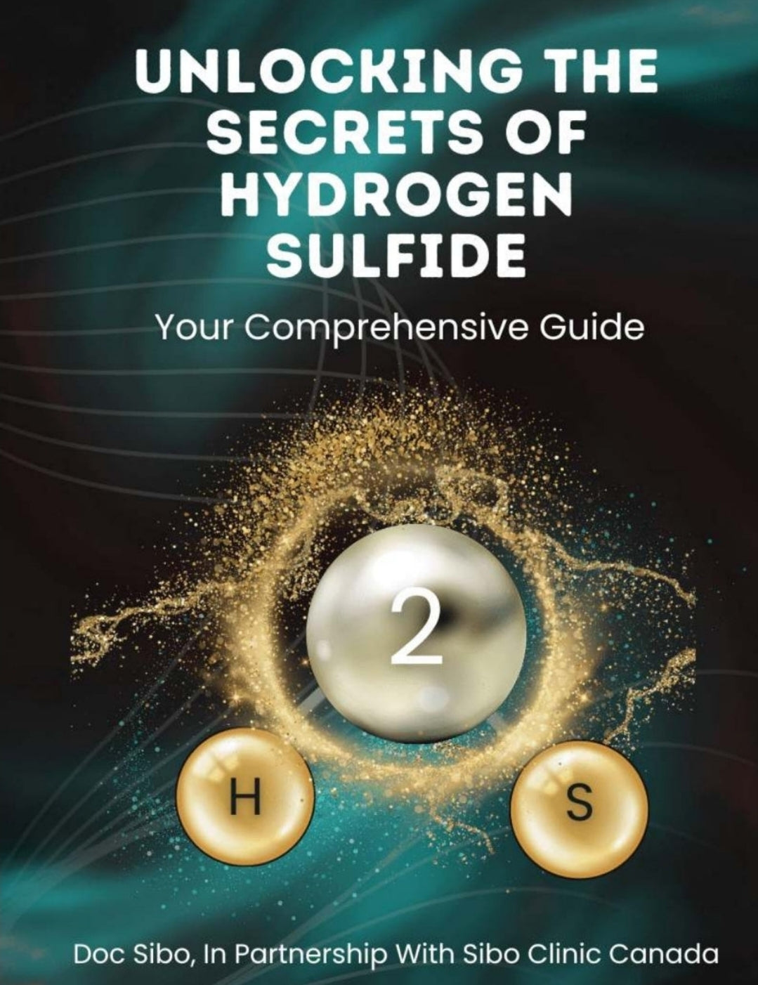 Unlocking the Secrets of Hydrogen Sulfide (H2S): A Comprehensive eBook