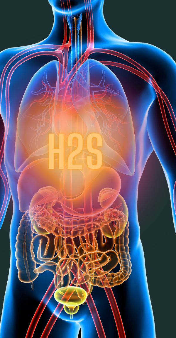 Unlocking the Secrets of Hydrogen Sulfide (H2S): A Comprehensive eBook