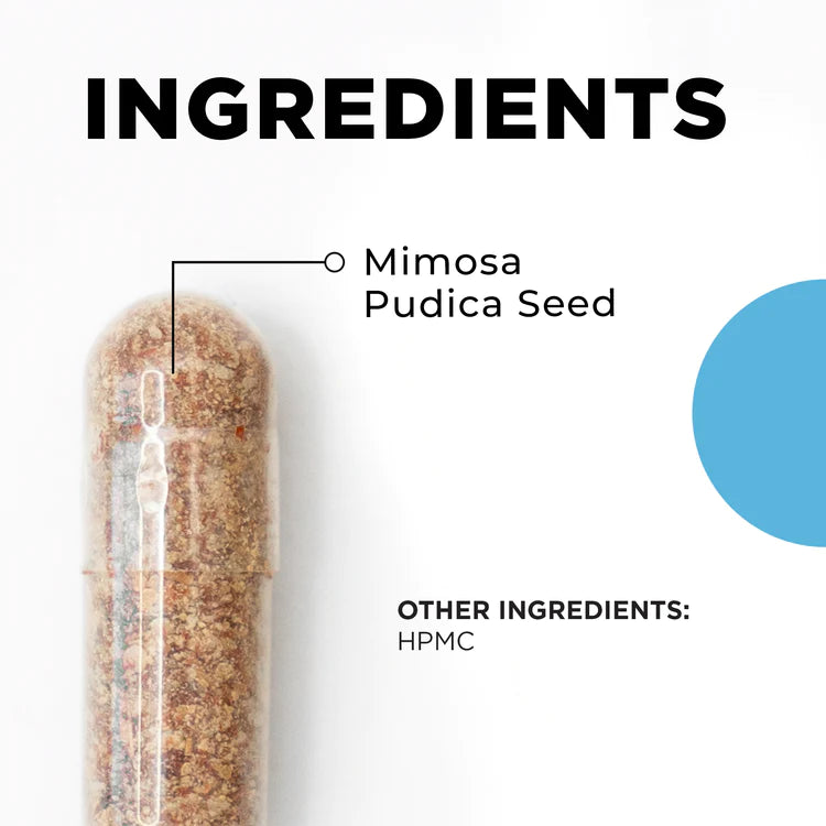 Para 1 – Gut Support with Mimosa Pudica Seed