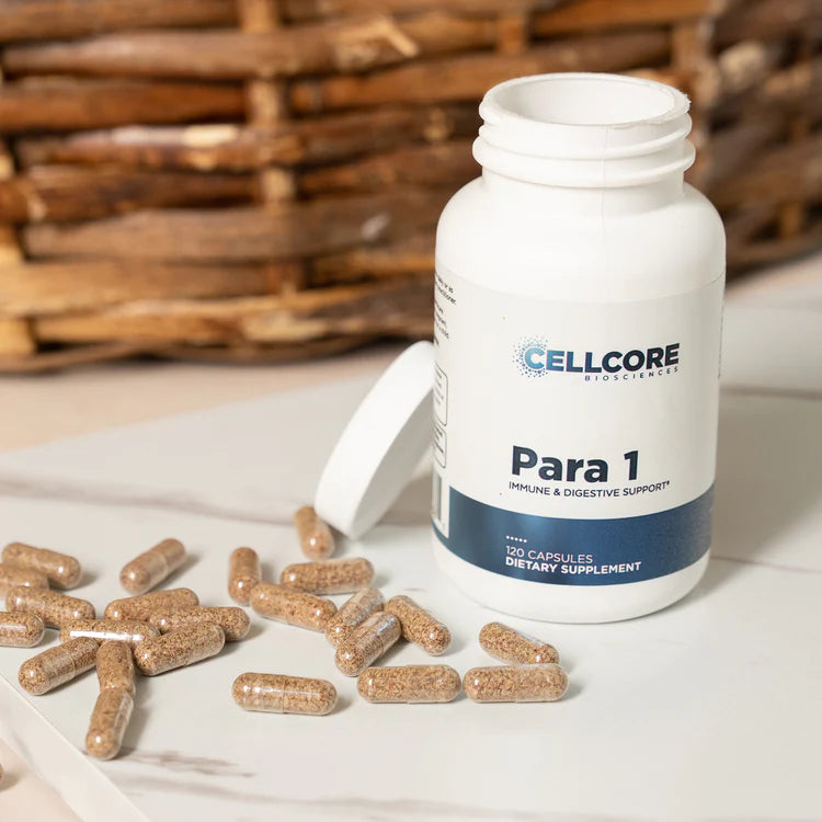 Para 1 – Gut Support with Mimosa Pudica Seed