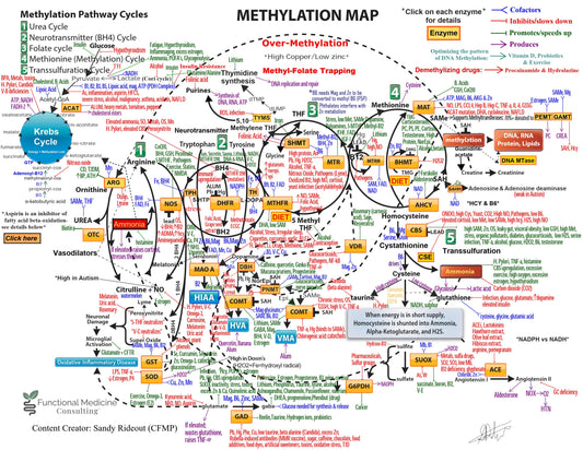 Unlocking Methylation: The 5 Hidden Cycles Behind Energy, Mood, Detox & Disease by Sandy Rideout | Functional Medicine Expert