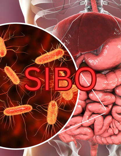 The Hidden Dangers of Low Stomach Acid: A Must-Read eBook