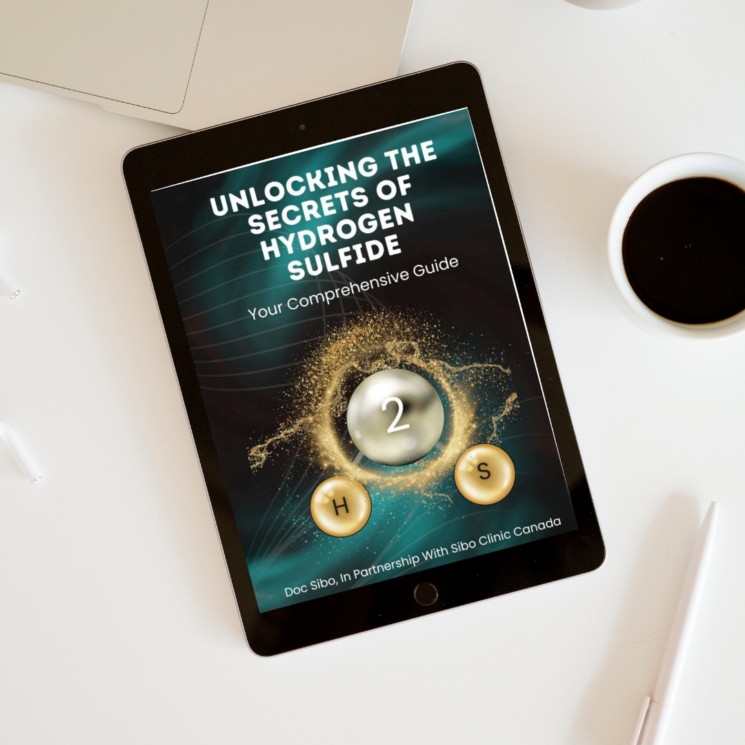 Unlocking the Secrets of Hydrogen Sulfide (H2S): A Comprehensive eBook