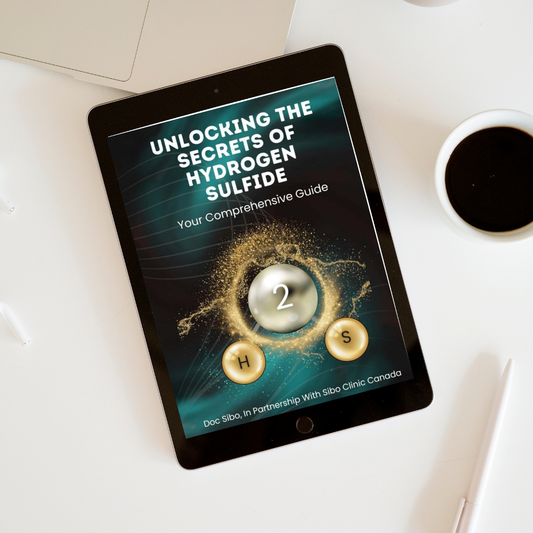 Unlocking the Secrets of Hydrogen Sulfide (H2S): A Comprehensive eBook