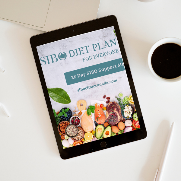 28-Day SIBO Support Meal Plan - Digital Download