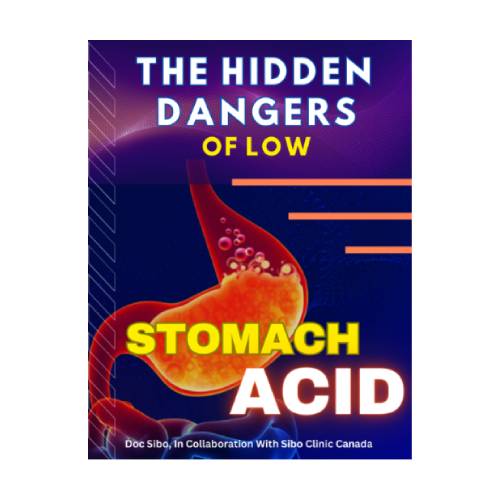 e-Book "The Hidden Dangers of Low Stomach Acid." A must read