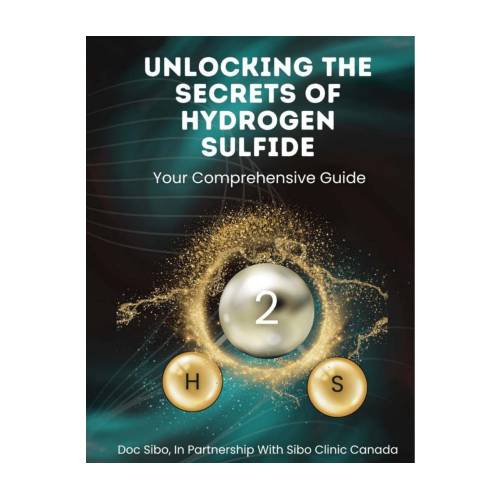 Hydrogen Sulfide (H2S) e-book "unlocking the secrets of H2S