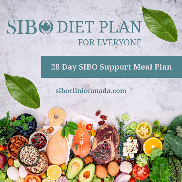 Plan de repas d'assistance SIBO de 28 jours « Téléchargement numérique »
